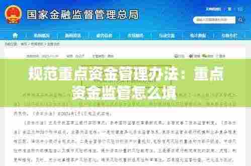 规范重点资金管理办法:重点资金监管怎么填