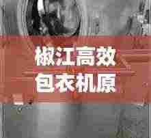 椒江高效包衣机原理图:描述高效包衣机工作原理