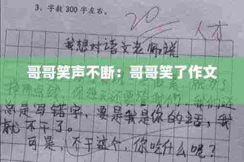 哥哥笑声不断:哥哥笑了作文