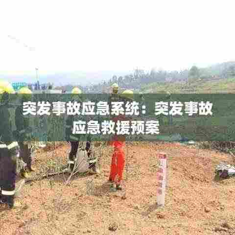 突发事故应急系统:突发事故应急救援预案