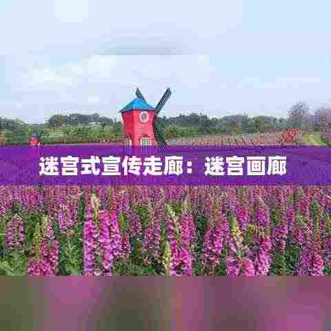 迷宫式宣传走廊：迷宫画廊 