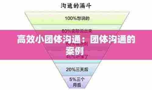 高效小团体沟通：团体沟通的案例 