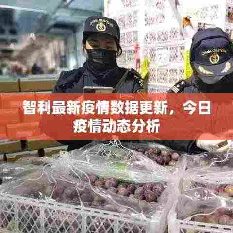 智利最新疫情数据更新,今日疫情动态分析