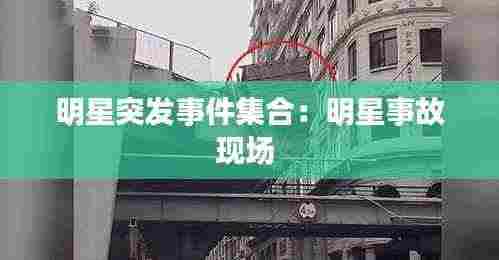 明星突发事件集合:明星事故现场