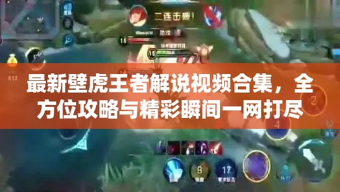 最新壁虎王者解说视频合集，全方位攻略与精彩瞬间一网打尽