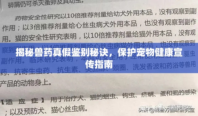 揭秘兽药真假鉴别秘诀，保护宠物健康宣传指南