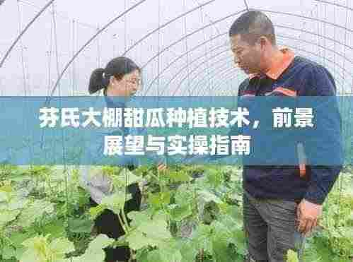 芬氏大棚甜瓜种植技术，前景展望与实操指南