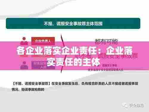 各企业落实企业责任:企业落实责任的主体