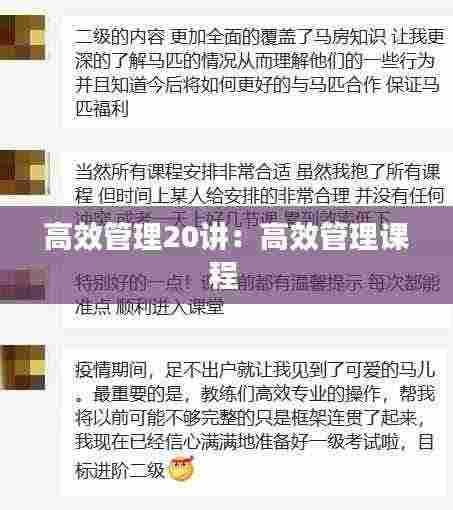 高效管理20讲:高效管理课程