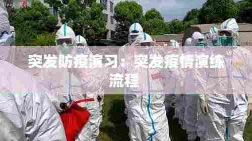突发防疫演习:突发疫情演练流程