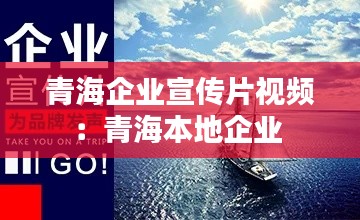 青海企业宣传片视频:青海本地企业