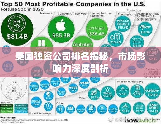 美国独资公司排名揭秘，市场影响力深度剖析
