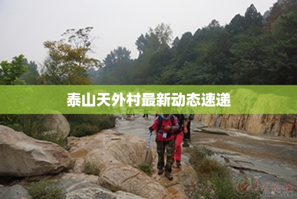 泰山天外村最新动态速递
