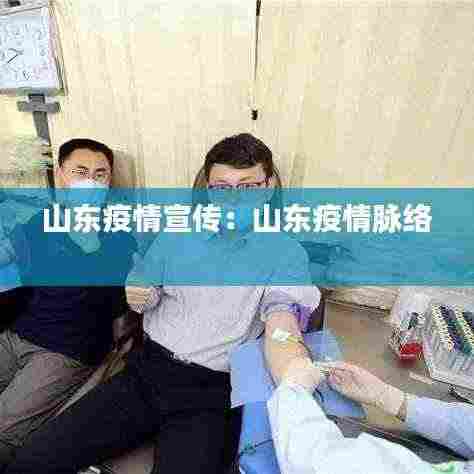 山东疫情宣传:山东疫情脉络