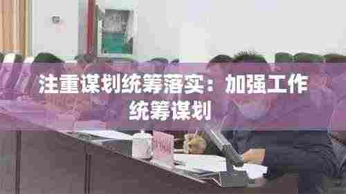 注重谋划统筹落实:加强工作统筹谋划