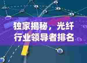 独家揭秘，光纤行业领导者排名，洞悉领先者的成功秘诀！