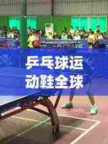 乒乓球运动鞋全球排名榜揭晓,探寻最佳运动装备,助你登顶赛场之巅!