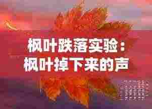 枫叶跌落实验:枫叶掉下来的声音是什么样的