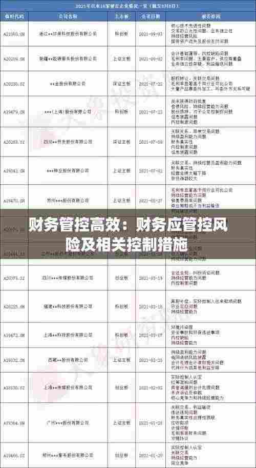 财务管控高效:财务应管控风险及相关控制措施
