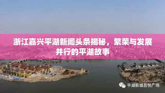 浙江嘉兴平湖新闻头条揭秘,繁荣与发展并行的平湖故事