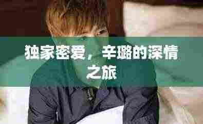独家密爱,辛璐的深情之旅