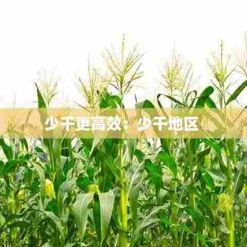 少干更高效:少干地区