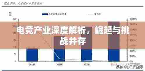 电竞产业深度解析,崛起与挑战并存