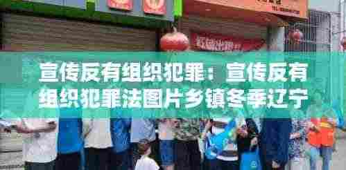 宣传反有组织犯罪:宣传反有组织犯罪法图片乡镇冬季辽宁省朝阳市