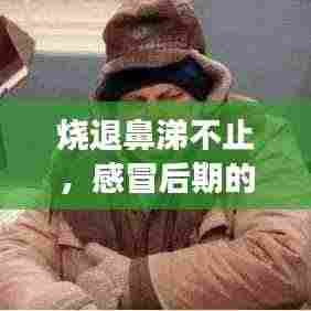 烧退鼻涕不止，感冒后期的恢复要点与注意事项全解析