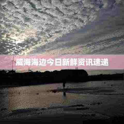 威海海边今日新鲜资讯速递