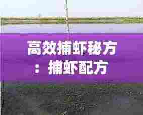 高效捕虾秘方：捕虾配方 