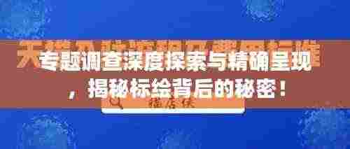 专题调查深度探索与精确呈现，揭秘标绘背后的秘密！