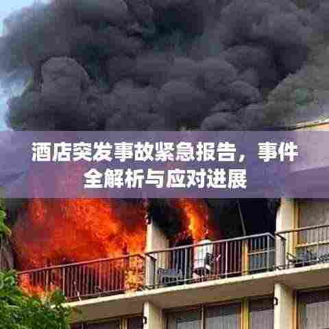 酒店突发事故紧急报告，事件全解析与应对进展