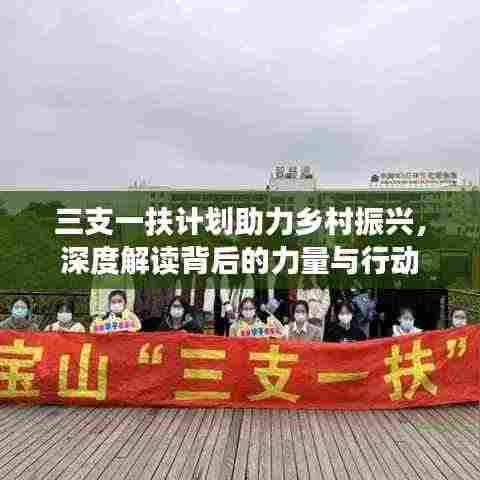 三支一扶计划助力乡村振兴，深度解读背后的力量与行动