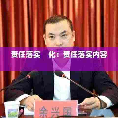 责任落实 化:责任落实内容