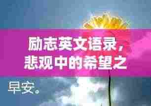 励志英文语录,悲观中的希望之光