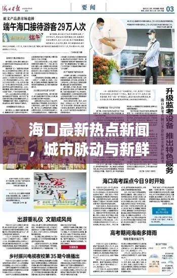 海口最新热点新闻,城市脉动与新鲜事回顾