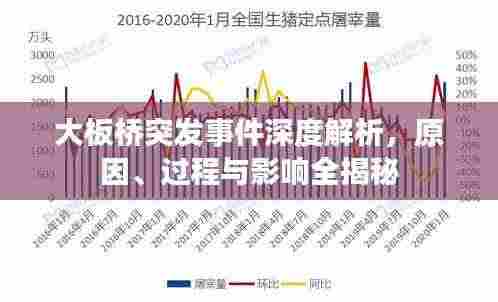 大板桥突发事件深度解析,原因、过程与影响全揭秘