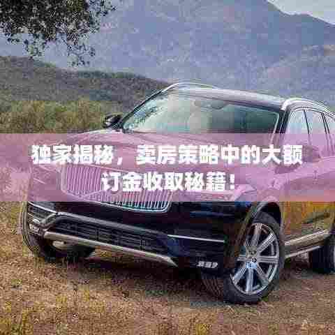 独家揭秘,卖房策略中的大额订金收取秘籍!