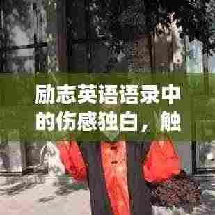 销声匿迹 第4页