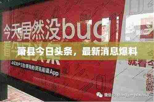 萧县今日头条，最新消息爆料