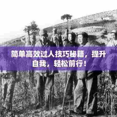 简单高效过人技巧秘籍,提升自我,轻松前行!