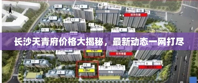 长沙天青府价格大揭秘,最新动态一网打尽