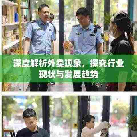 深度解析外卖现象,探究行业现状与发展趋势