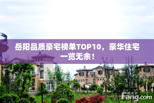 岳阳品质豪宅榜单TOP10,豪华住宅一览无余!