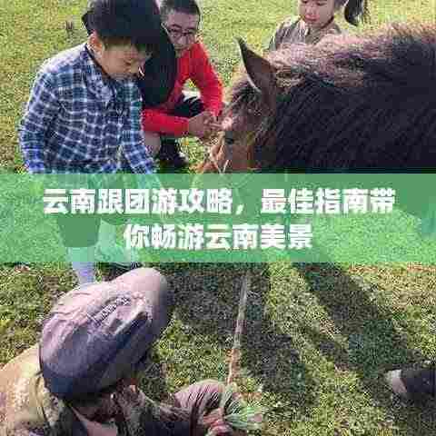 云南跟团游攻略,最佳指南带你畅游云南美景