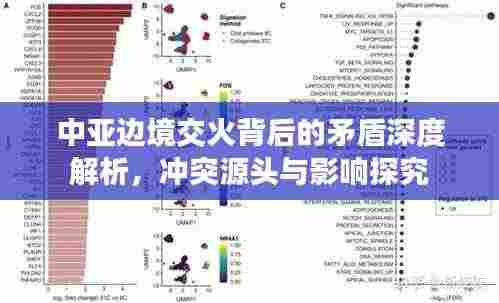 中亚边境交火背后的矛盾深度解析,冲突源头与影响探究