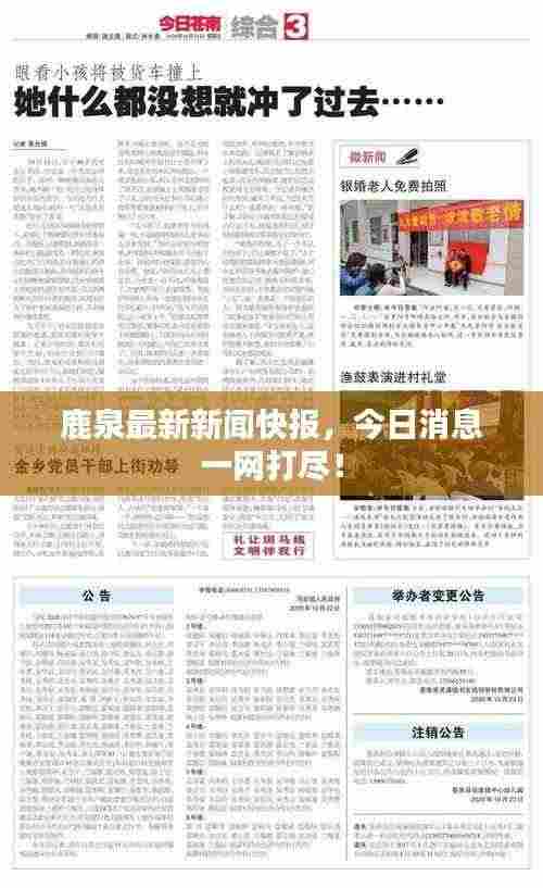 鹿泉最新新闻快报,今日消息一网打尽!