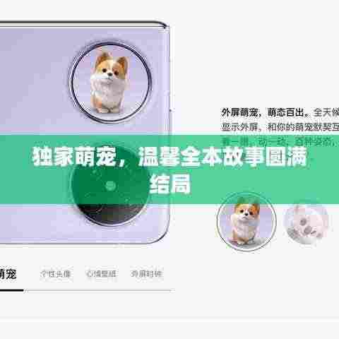 独家萌宠，温馨全本故事圆满结局