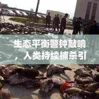 生态平衡警钟敲响,人类持续捕杀引发关注